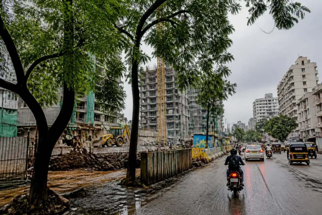 Mumbai tree felling proposal near an urban redevelopment and construction site