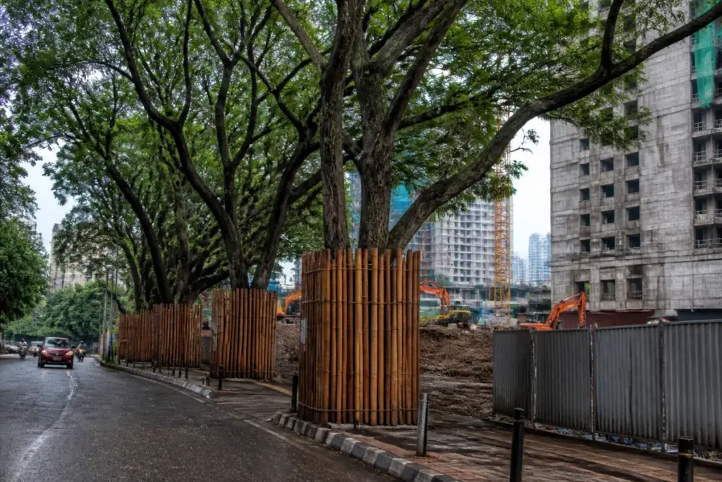 Mumbai tree felling proposals being reviewed near an urban redevelopment site