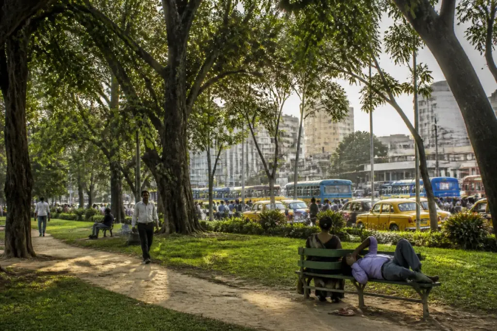 Climate justice discussion in Kolkata with a green urban space and dense city surroundings