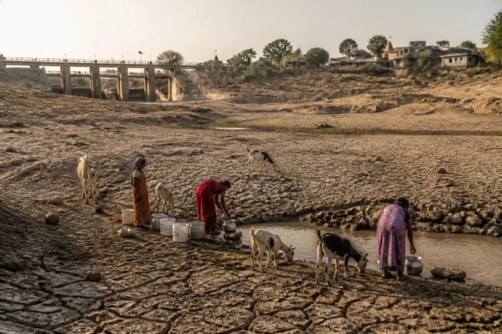 Pune water crisis affecting a dry Bhima riverbed near Indapur villages