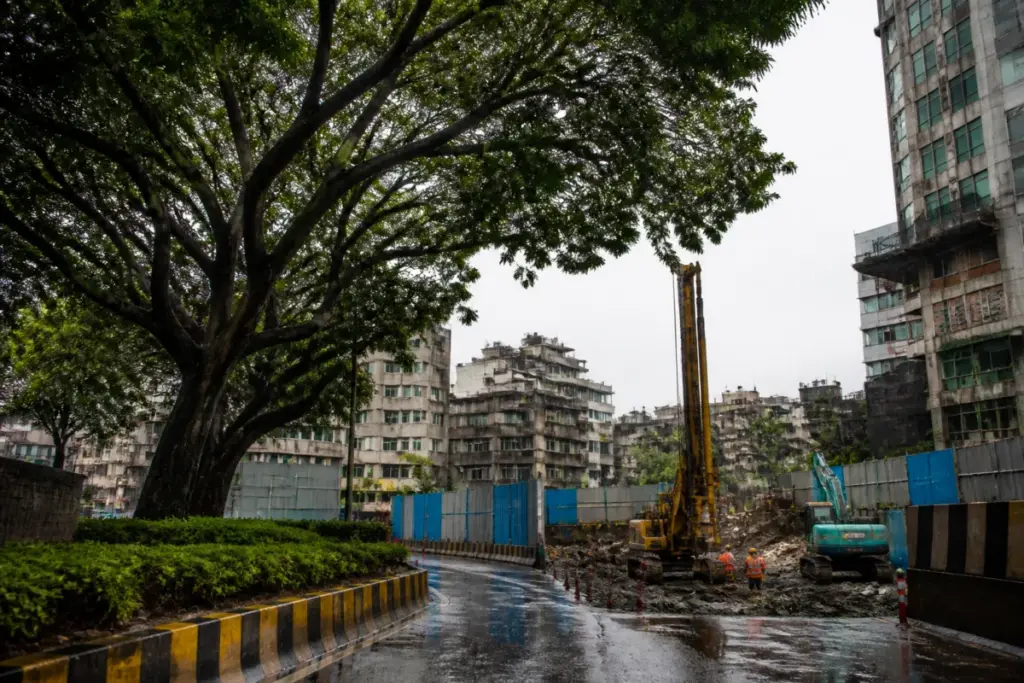 Mumbai Tree Authority review of trees affected by redevelopment and infrastructure projects