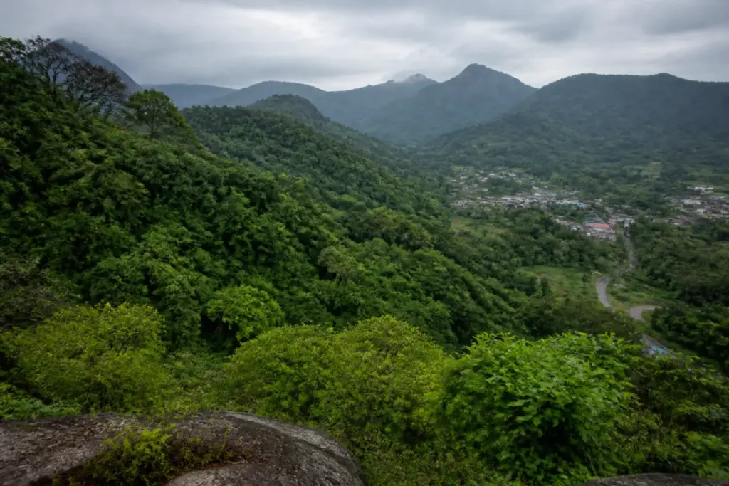 Western Ghats eco-sensitive zones being mapped near protected forest areas in Tamil Nadu