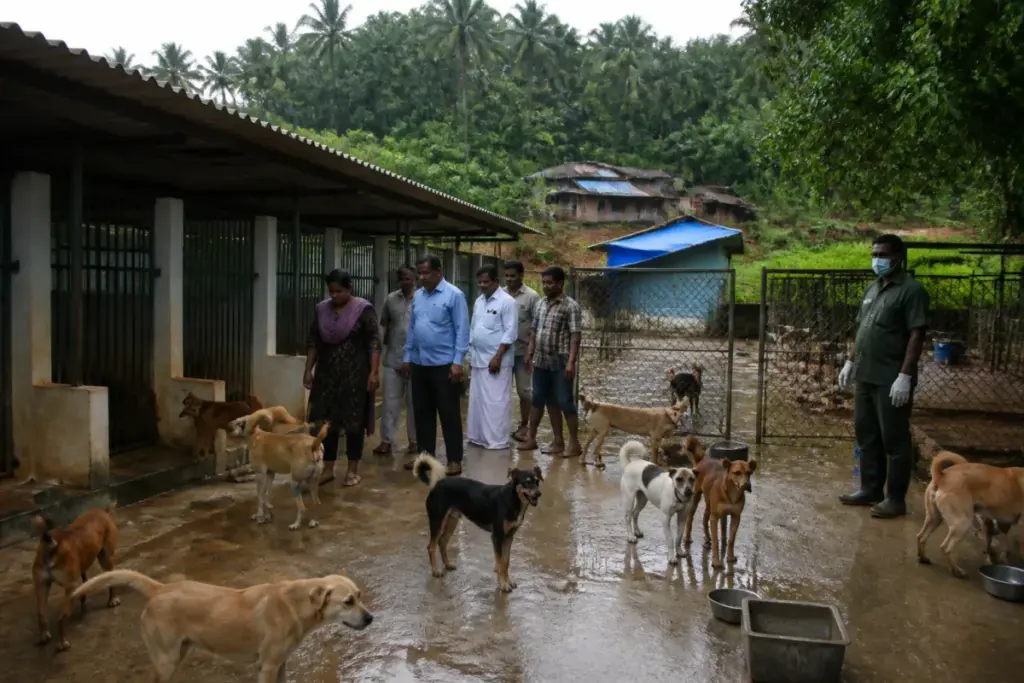 Thiruvananthapuram dog shelter dispute involving a fenced facility and stray dogs