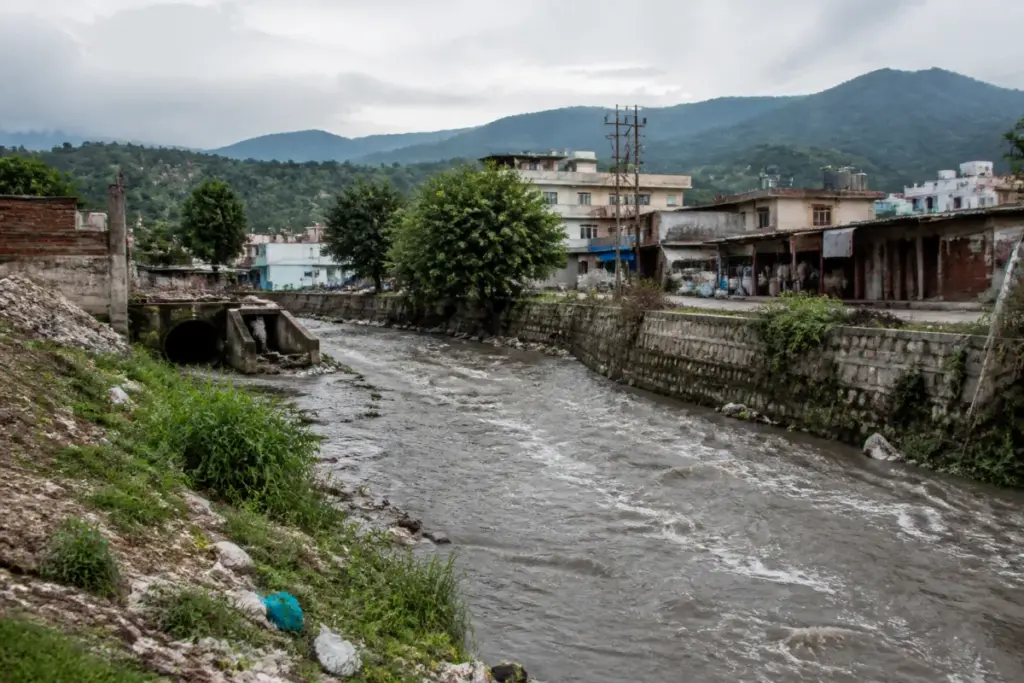 Markanda river pollution linked to sewage flowing through the Jattanwala Nallah near Kala Amb