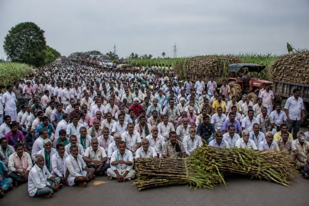 Karnataka sugarcane farmers protesting over cane prices and ethanol procurement
