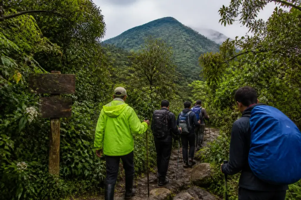 Kumara Parvatha trek route through Karnataka forest with safety signage and guided trekkers