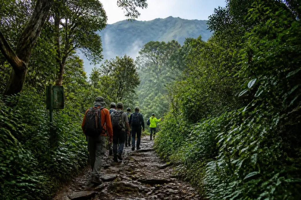 Kumara Parvatha trek route through Karnataka’s forested Pushpagiri landscape