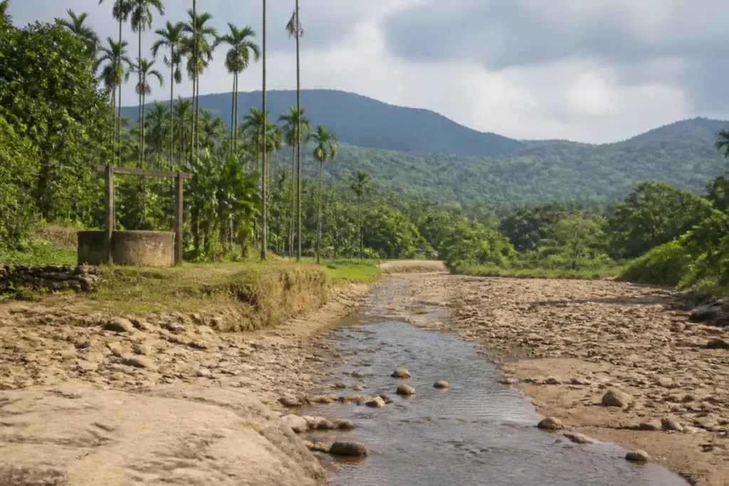 Netravati tributaries drying in Dakshina Kannada near the Western Ghats foothills