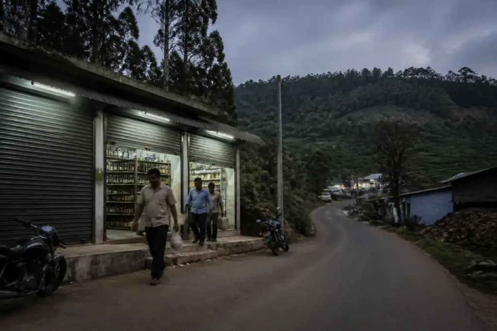 Nilgiris liquor shops near a forested road with wildlife movement risk after dusk