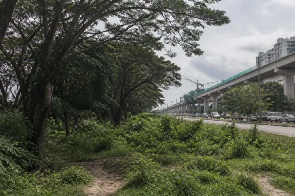 Hebbal Short Tunnel area in Bengaluru with trees and urban infrastructure near Hebbal Lake