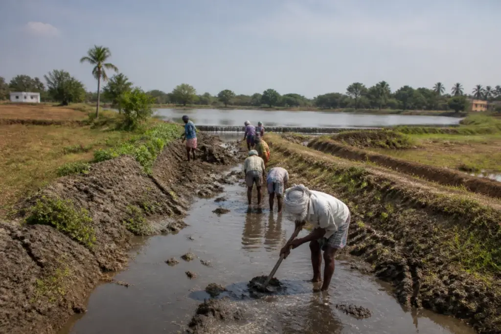 Tamil Nadu water conservation projects including a rural pond and groundwater recharge work