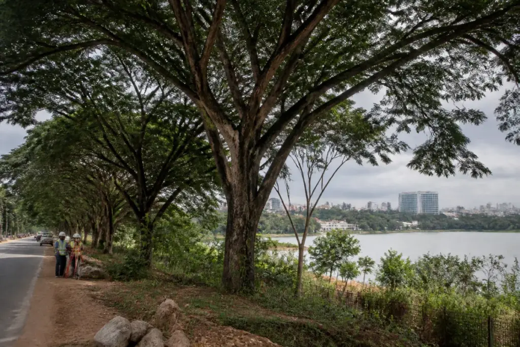 Hebbal Short Tunnel site near Bengaluru’s tree-lined urban landscape and Hebbal Lake