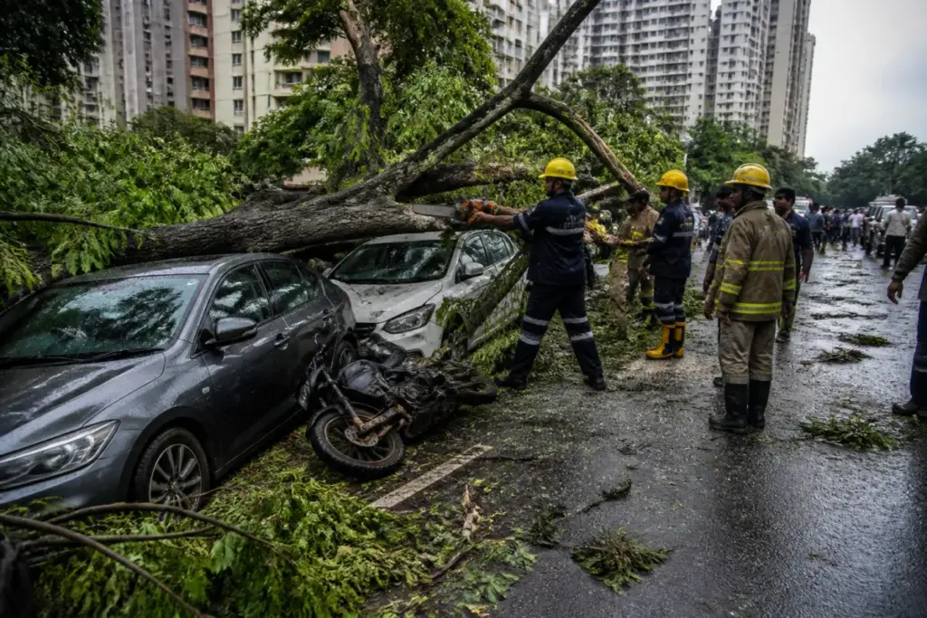 Thane tree fall blocking Kores Road near Vartak Nagar after damaging vehicles