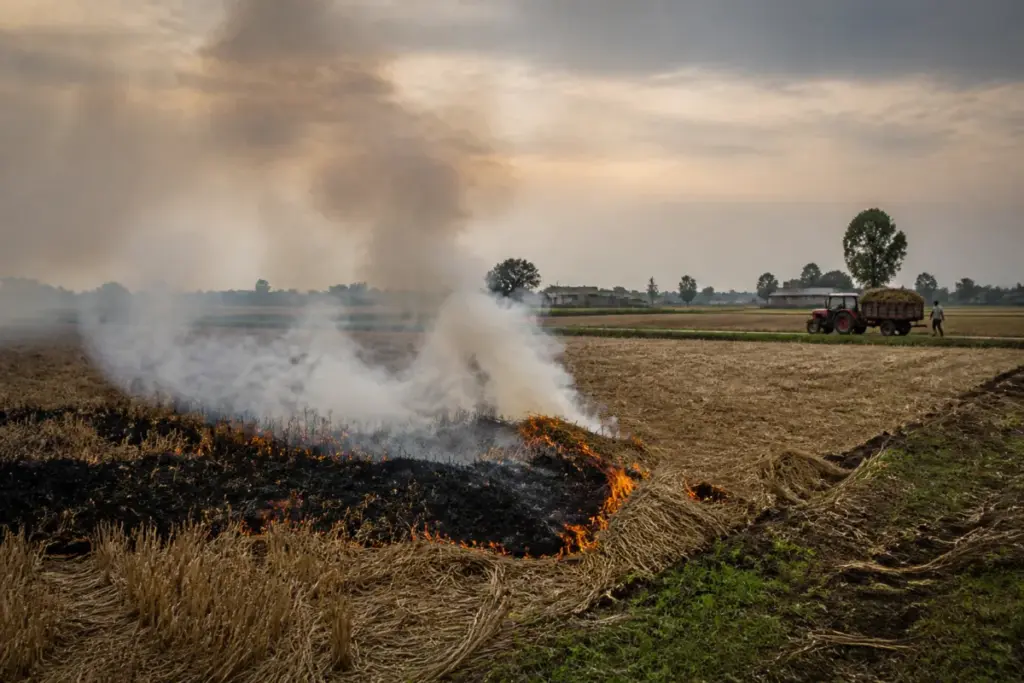 Punjab stubble burning smoke rising over agricultural fields near Tarn Taran