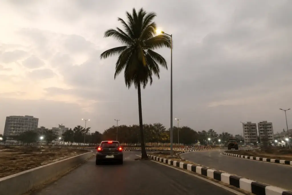 Ahmedabad road safety hazard with a coconut tree obstructing the Ramol road