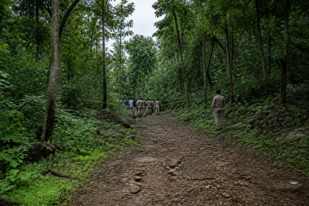 Sanjay Gandhi National Park forest area in Mumbai where a firing incident was reported