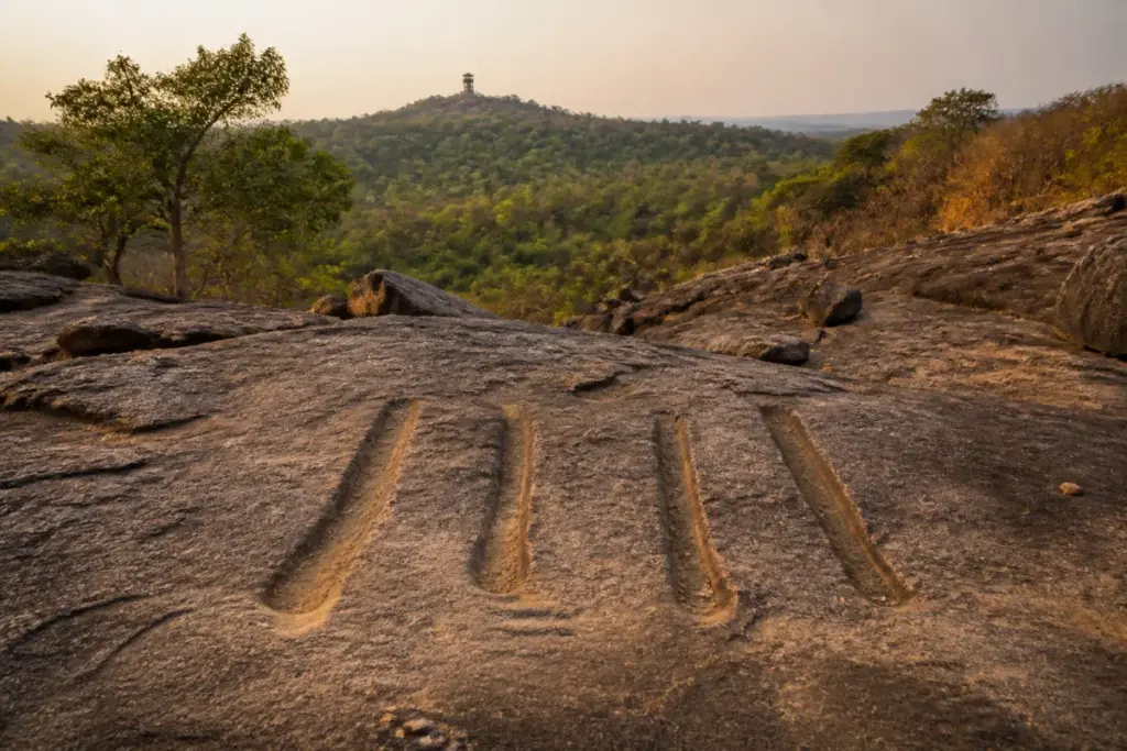 Rock grooves at Mrugavani National Park near Hyderabad