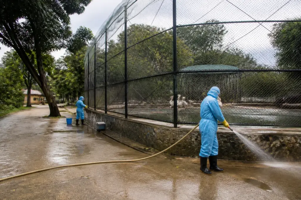 Vandalur Zoo closure notice and bird enclosures during biosecurity cleaning