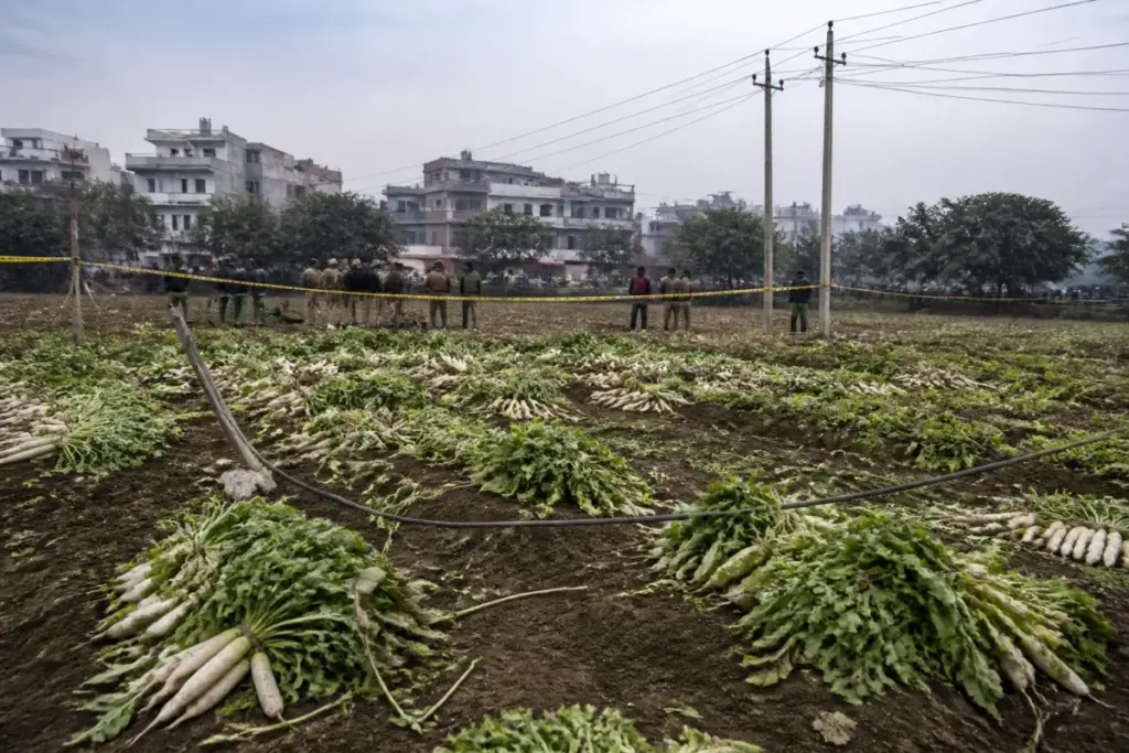 Fallen high-tension wire in a Ghaziabad field after a fatal electricity accident
