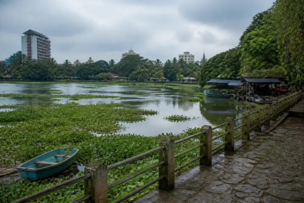 Akkulam Lake restoration site in Thiruvananthapuram with overgrown water hyacinth and public facilities.