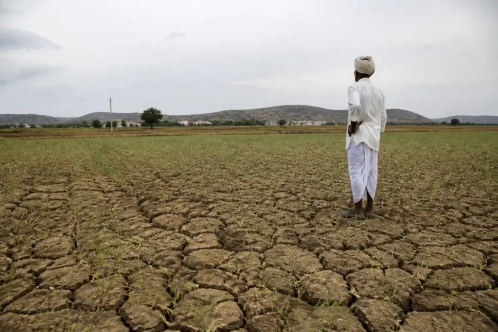 Telangana rainfall deficit leaves a dry agricultural field under a cloudy October sky