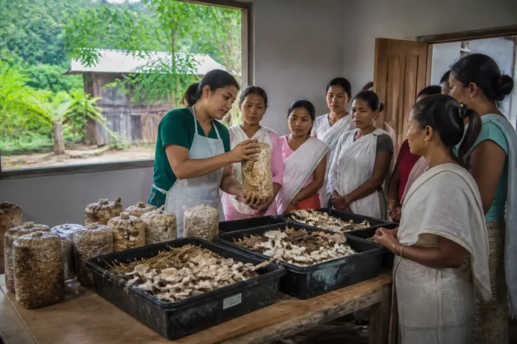 Mission Mushroom training and mushroom cultivation initiative in Charaideo, Assam