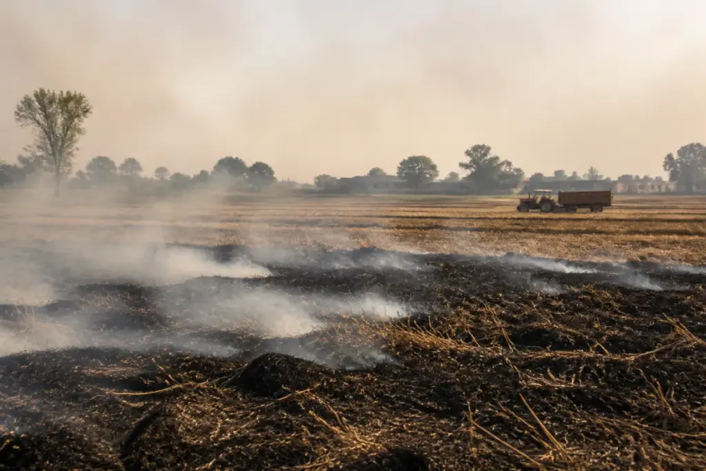 Punjab farm fires burning across an agricultural field during the stubble-burning season