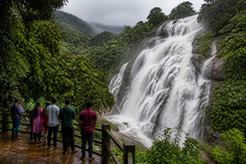 Manimutharu Falls flowing strongly after heavy rain in Tirunelveli