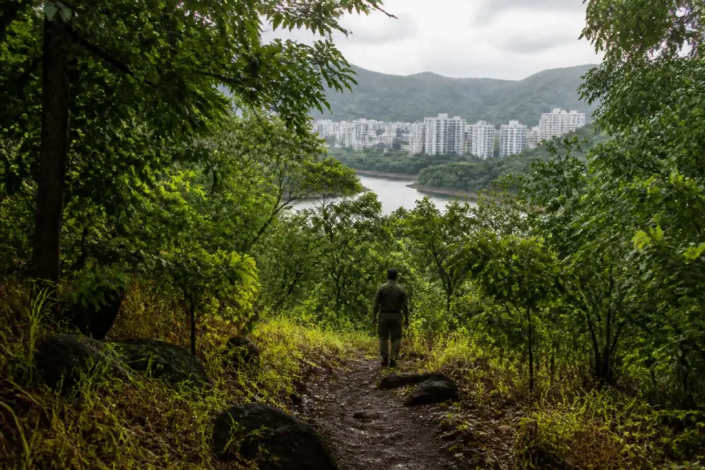 Sanjay Gandhi National Park poaching risk near a forest trail and urban settlement in Mumbai