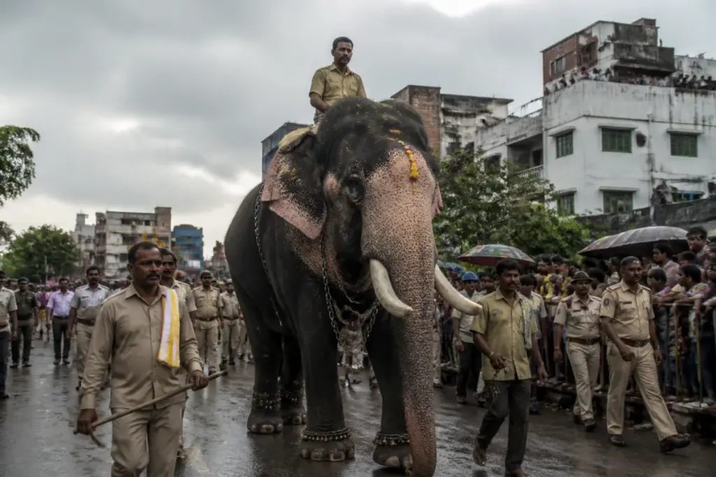 Shivamogga Dasara elephant procession on a crowded urban road