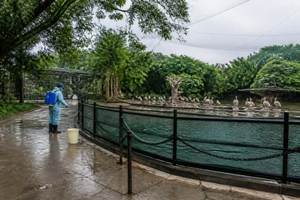 Vandalur Zoo enclosure in Chennai closed during H5N1 bird flu precautions