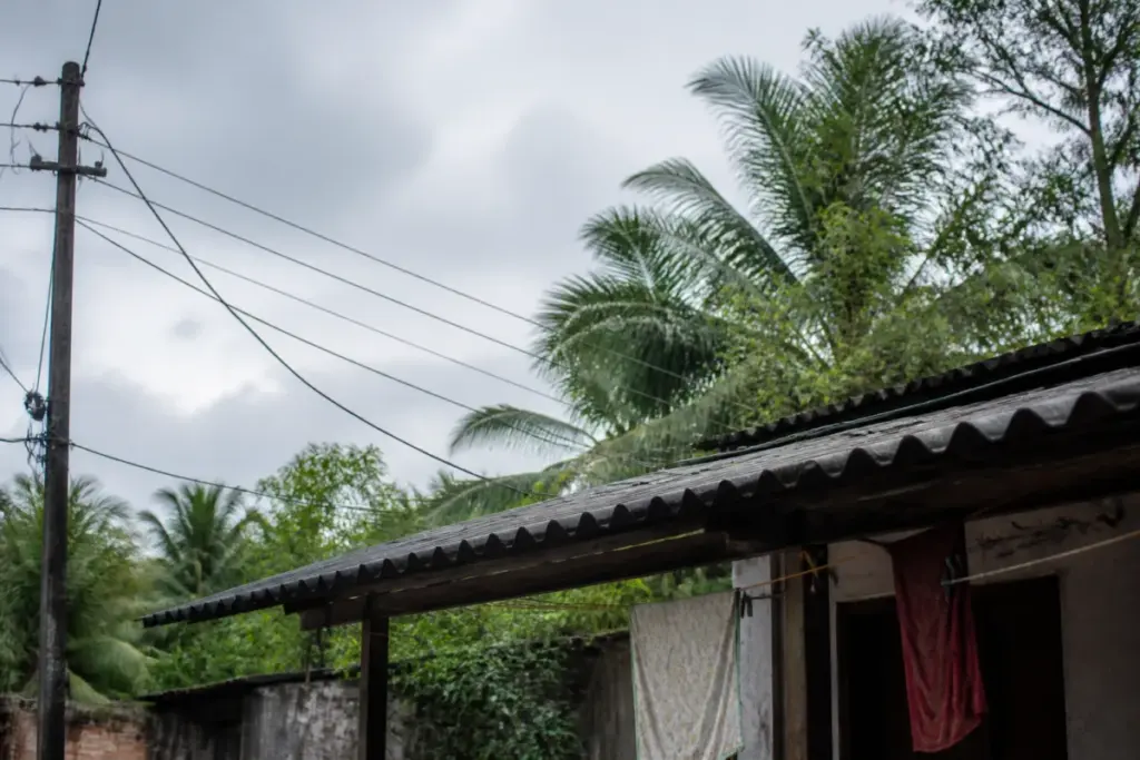 Paladka electrocution scene near a rural home in Dakshina Kannada